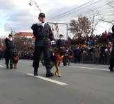 video foto peste 20.000 de oameni la super parada militară de 1 decembrie de la sibiu. momente emoționante!