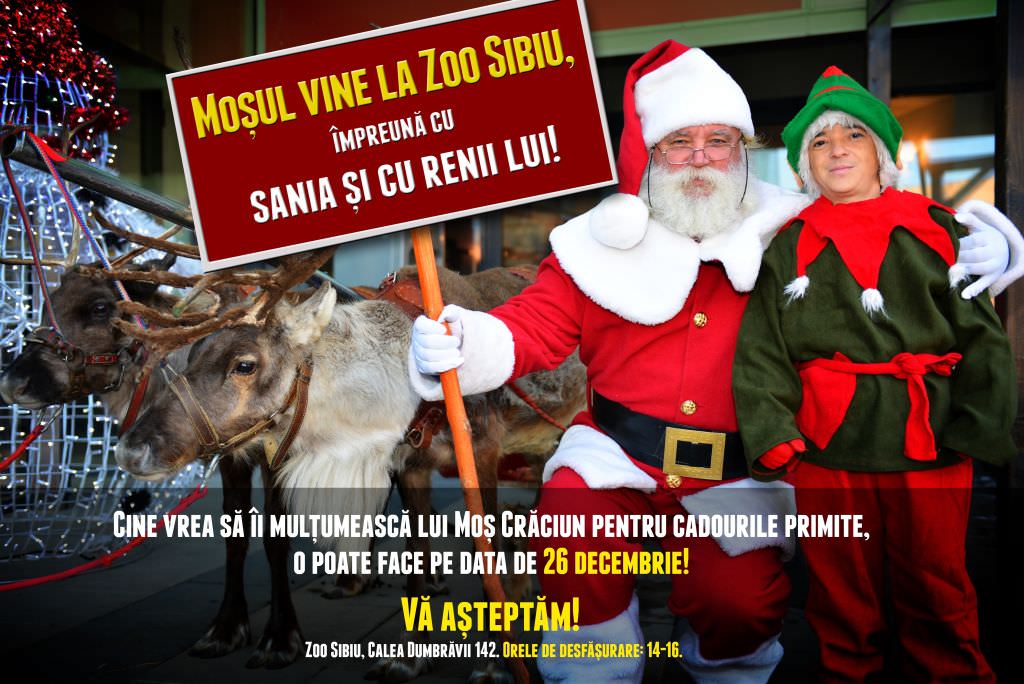 moș crăciun vine cu sania trasa de reni la gradina zoologica din sibiu