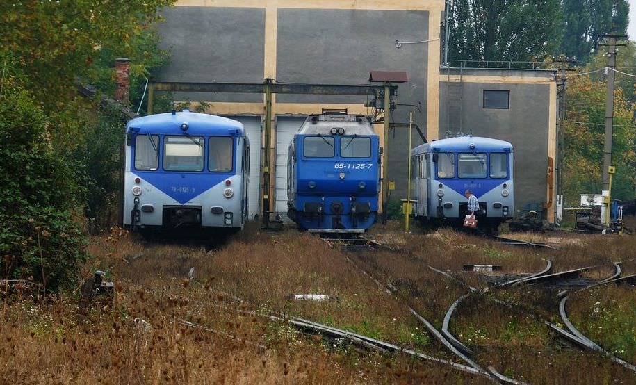 cel mai răsunător dosar al serviciului judeţean anticorupţie sibiu. polițistul care a pus pe roate o rețea de hoți de motorină din locomotive!