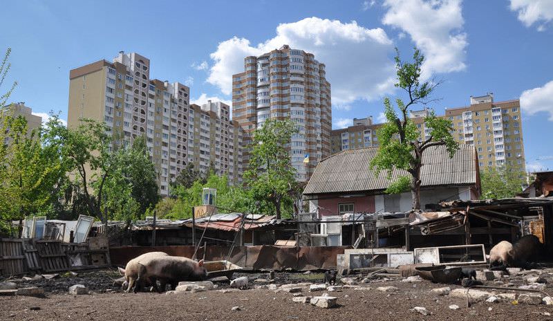 video - casa mea, filmul săptămânii la astra film cinema. merită văzut!