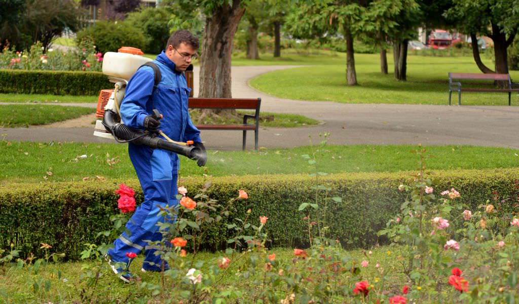 primăria anunță începerea dezinsecției împotriva căpușelor în municipiul sibiu