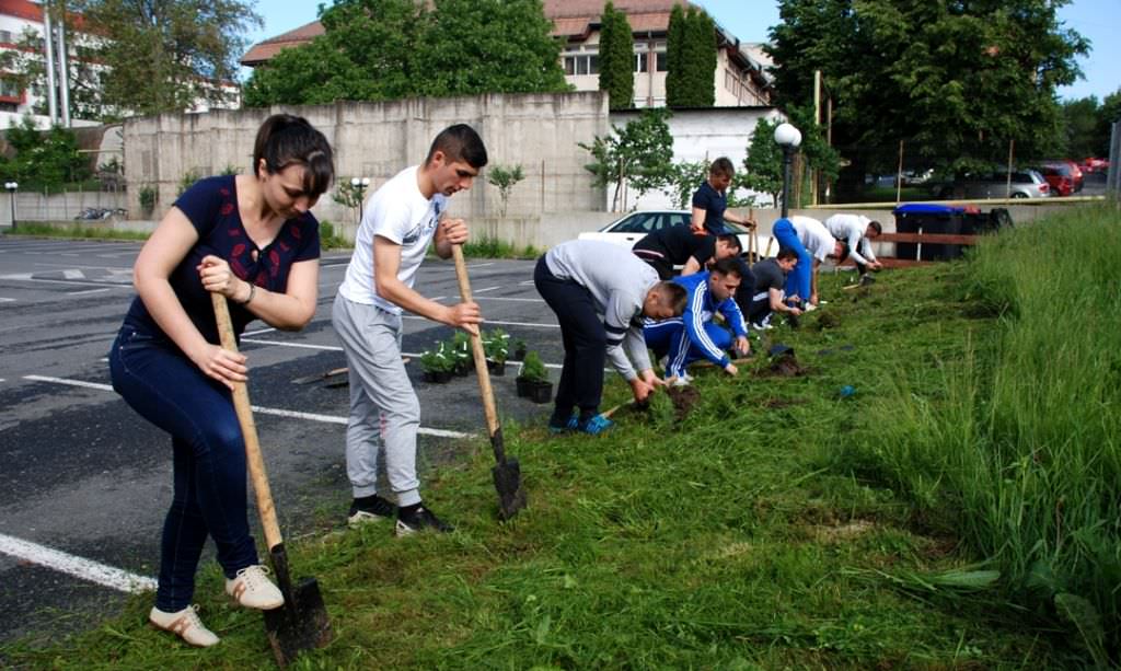 săptămâna verde la sibiu: "refolosește, reciclează… trăiește în armonie cu natura". programul complet!