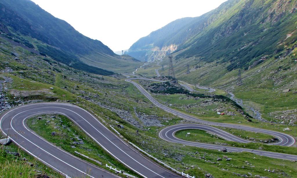 biciclistă din germania, accidentată pe transfăgărășan. niște porci sunt vinovații