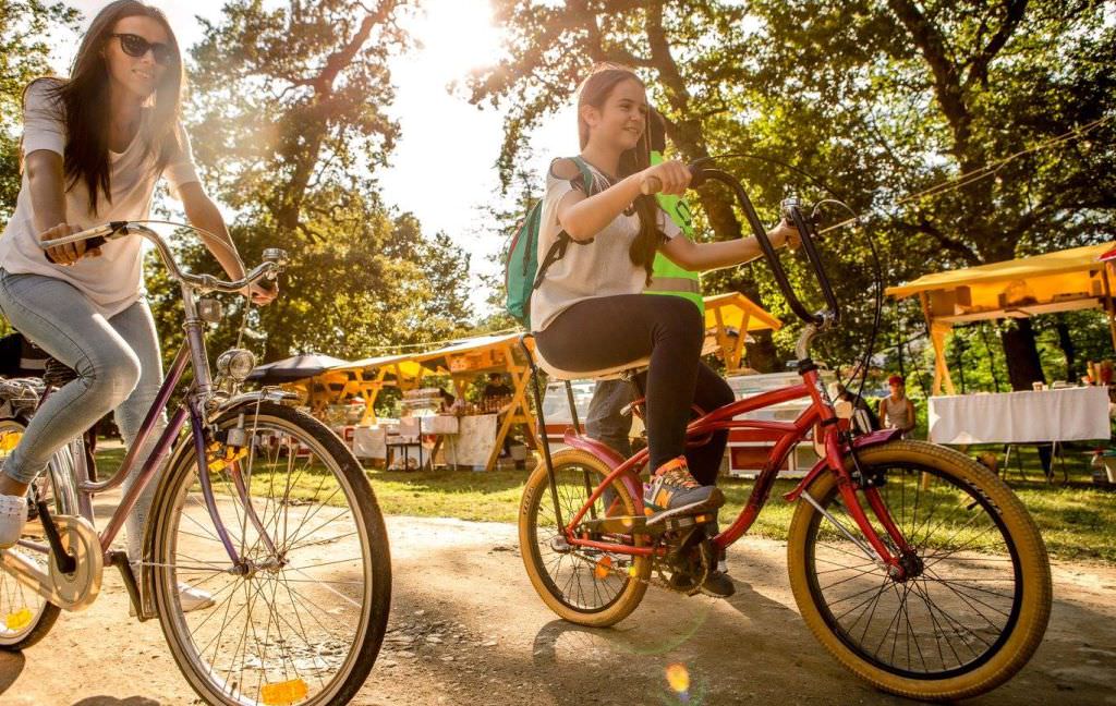 proiect pentru un coridor de deplasare cu bicicleta între cartierul ștrand, parcul sub arini și zona centrală