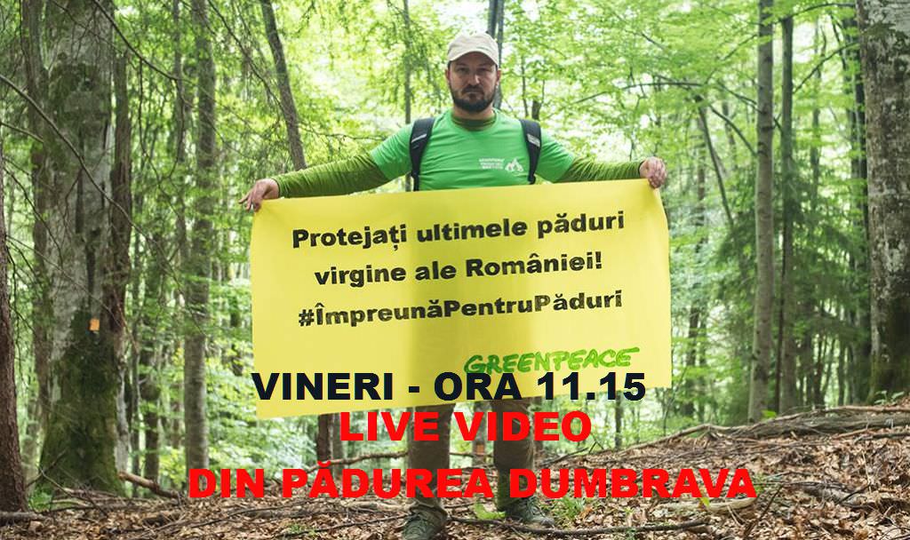 video – adrian bibu la ”interviuri pe față” pentru o discuție despre pădurile sibiului. înregistrarea transmisiei live