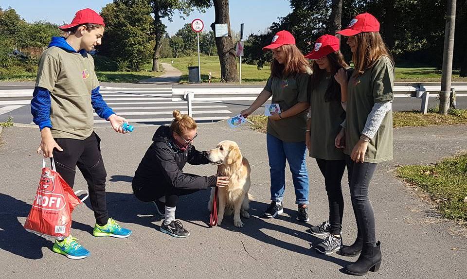 foto - campanie inedită la sibiu sub denumirea ”câinele și-a făcut treaba... fă-o și tu pe a ta”