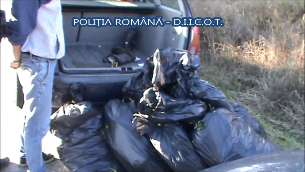 captură record de droguri la vama nădlac