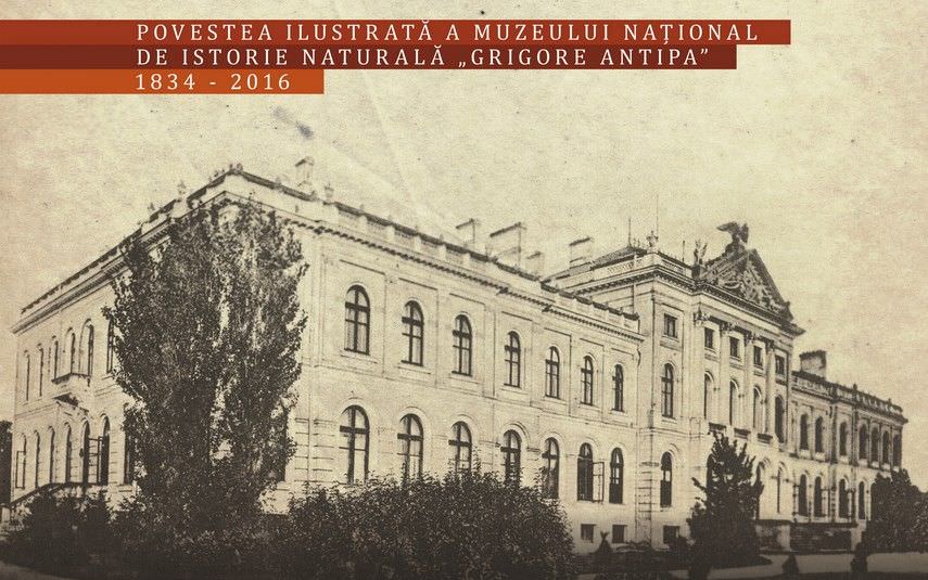 Povestea ilustrată a Muzeului „Grigore Antipa” la Palatul Brukenthal din Sibiu