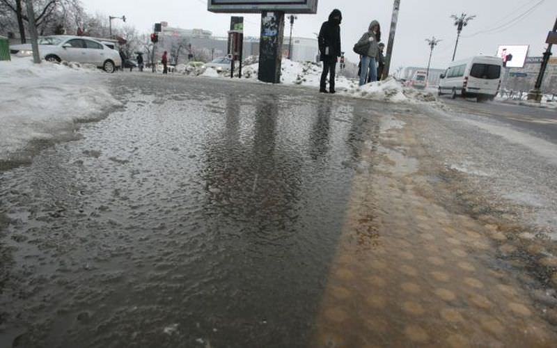 cod galben de polei la sibiu. când intră în vigoare