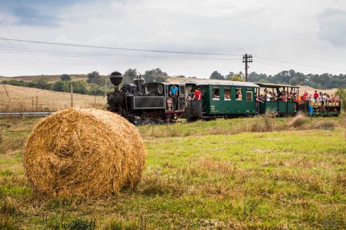 semnal de alarmă - proiectul mocăniței de pe valea hârtibaciului este în mare pericol