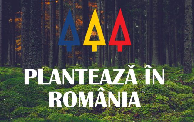 peste 3.000 de copaci plantați de sătenii din blăjel în weekend-ul ce urmează