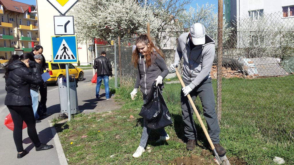 foto – locuitorii din cartierul alma au adunat gunoaiele din spațiile verzi