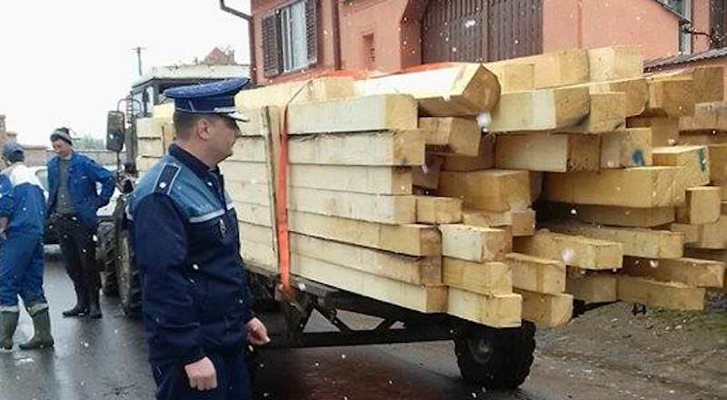 foto scutul pădurii în acțiune – lemne furate confiscate la gura râului cu remorcă cu tot