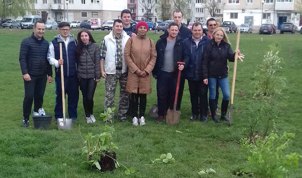 foto - tinerii de la psd au plantat copaci în zona cireșica din sibiu