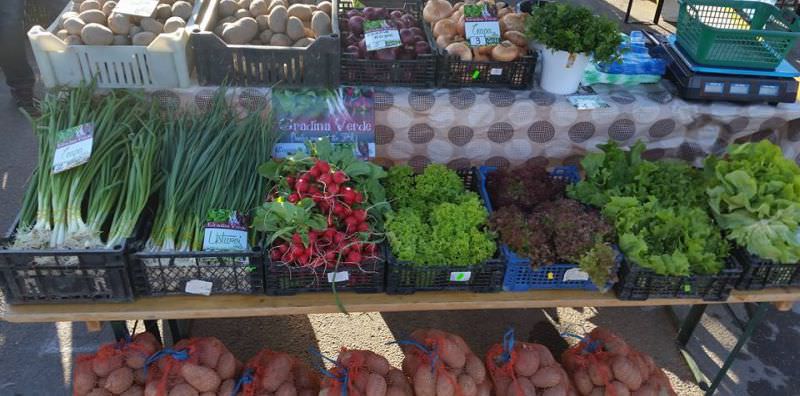 FOTO - Regatul legumelor fericite din ''Grădina Verde'' Sibiu. Povestea afacerii unor familii de sibieni e fabuloasă