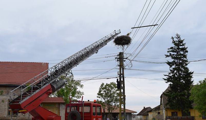 cuib de berze căzut pe dn1 la scoreiu din cauza ploilor