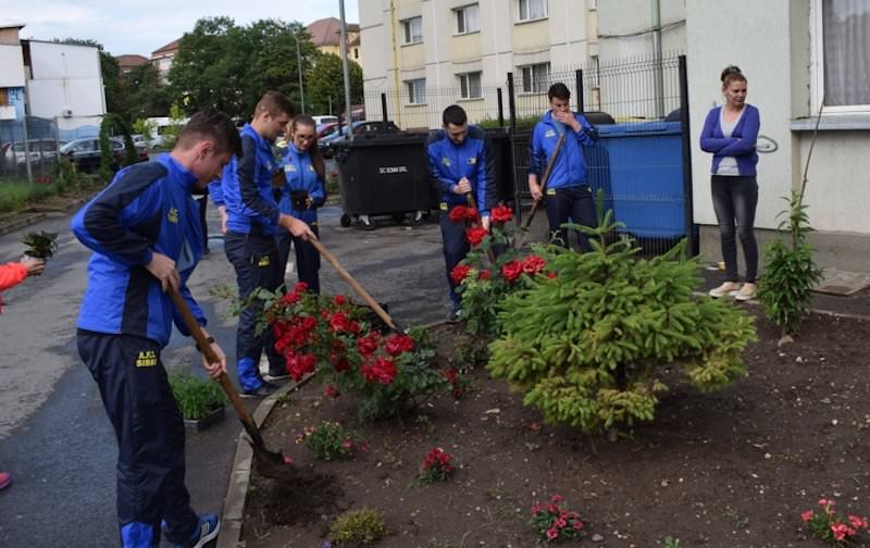 foto - studenți și elevi sibieni au înverzit sibiul cu peste 300 de plante