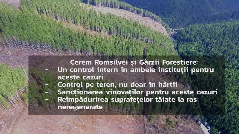 video foto – genocid forestier pe valea sadului. aproape 100 de hectare de pădure tăiate ilegal