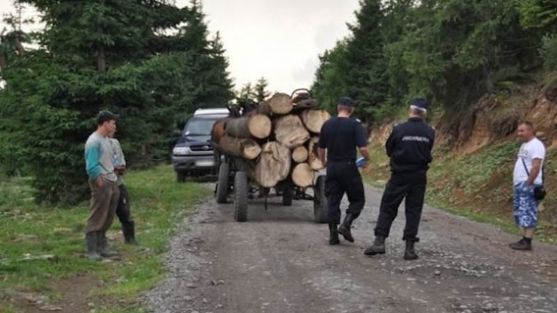 Hoții de lemne “vânați” cu dronele în pădurile din România