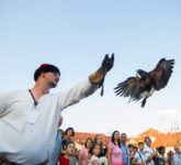 foto - festivalul medieval de la sibiu în imagini. a fost un real succes