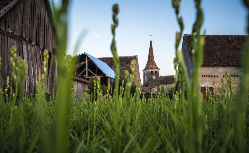 mii de turiști la sărbătoarea tuberozelor de la hoghilag în weekend-ul trecut