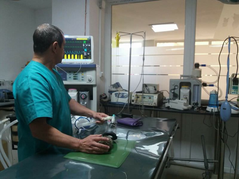 foto - prima clinică modernă pentru animale din sibiu. e gata pentru inaugurare