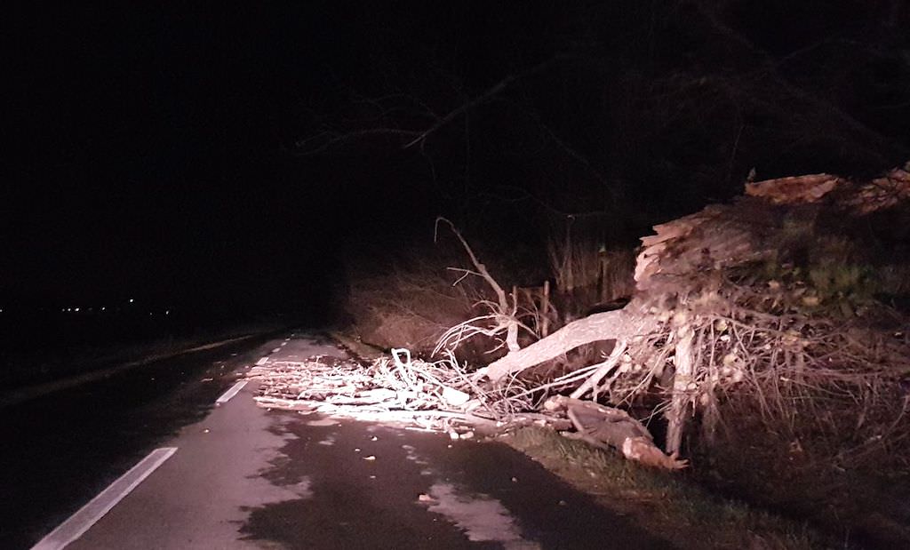 foto - tencuială căzută de pe un imobil pe mitropoliei. copac căzut la ieșire spre poplaca