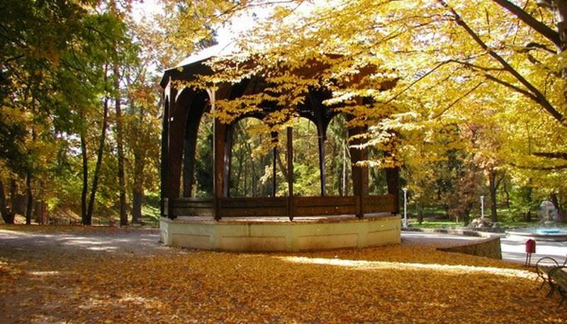 primăria sibiu repară filigoria din parcul sub arini