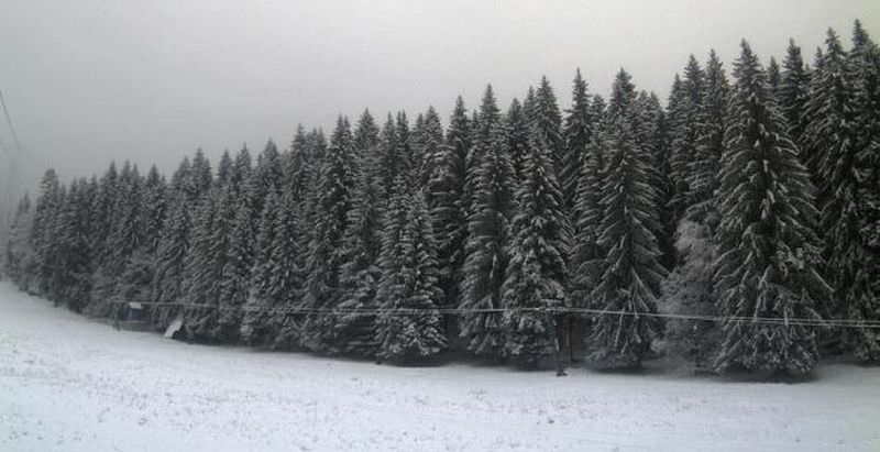 cod galben de vânt în județul sibiu. la munte va ninge viscolit