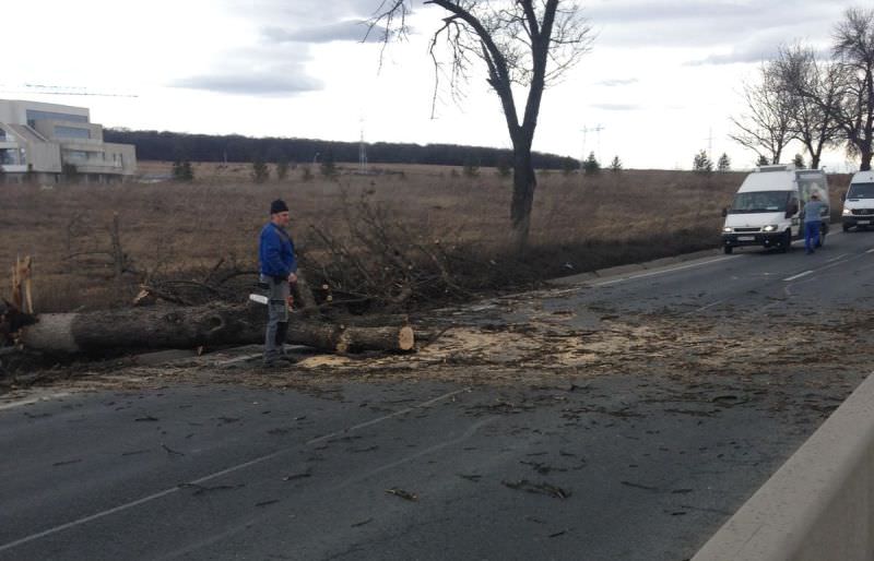 video foto copac căzut pe dn1, la veștem