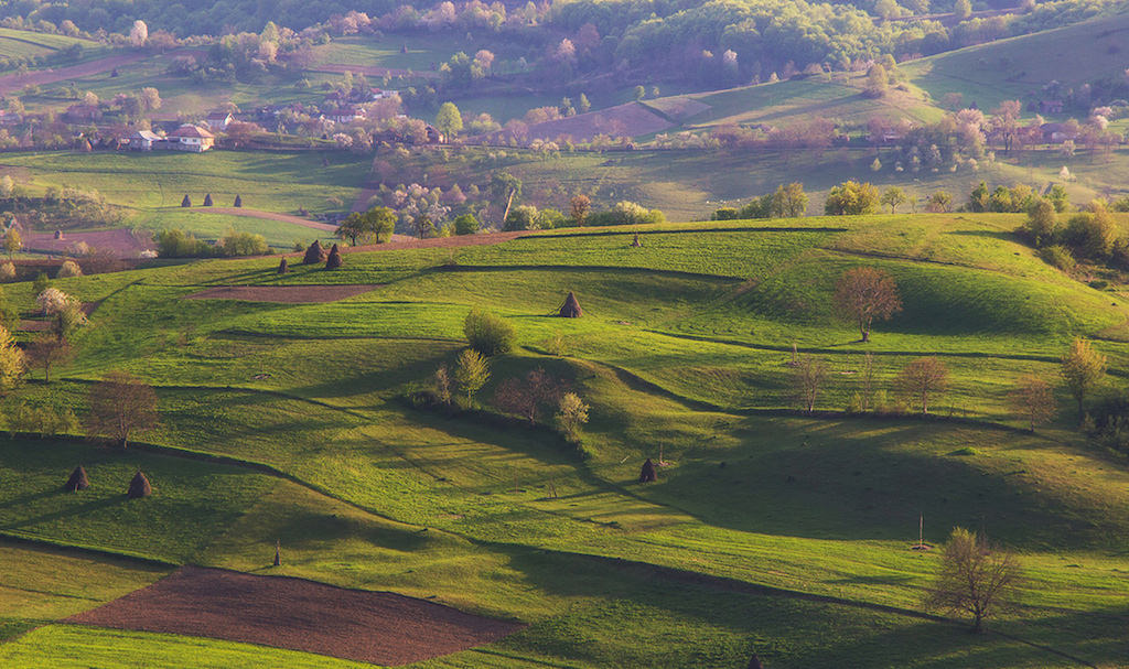 prognoza meteo pe patru săptămâni - temperaturi crescute la finalul lui aprilie