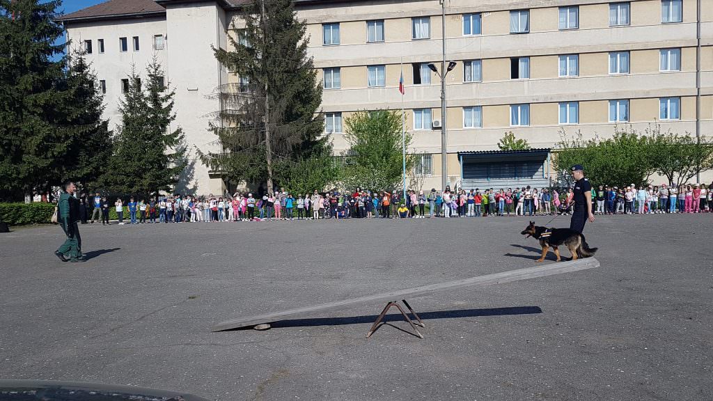 foto - alertă la jandarmeria sibiu. invazie de copii pe calea poplăcii