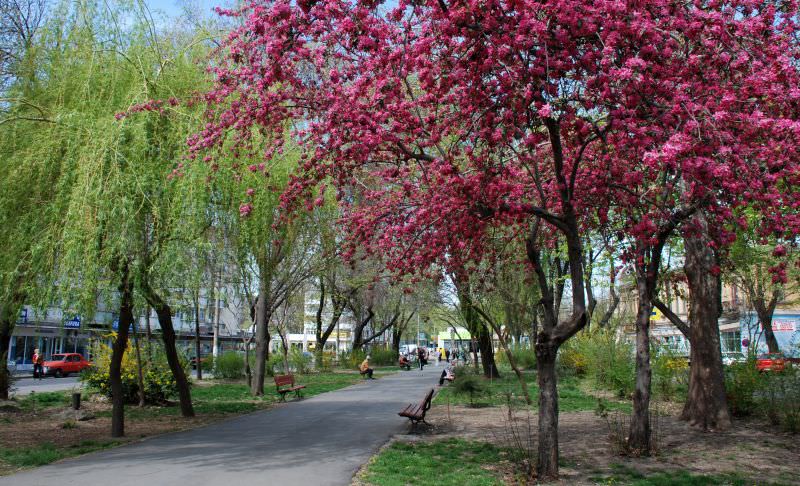 vremea în următoarele zile la sibiu - ce spun meteorologii pentru weekend