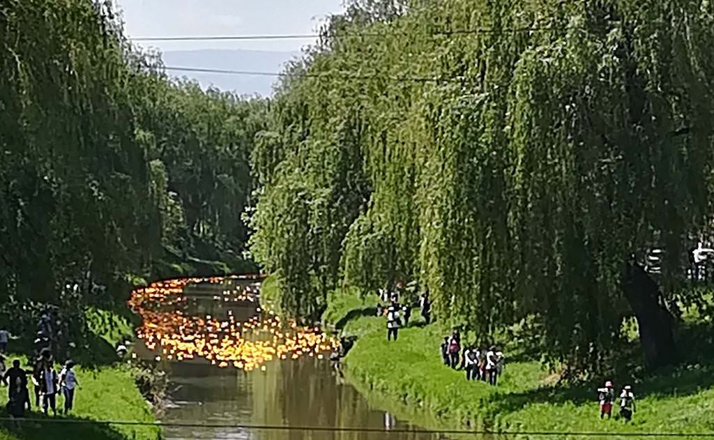 video foto cursă cu rățuște pe râul cibin. totul pentru o cauză nobilă