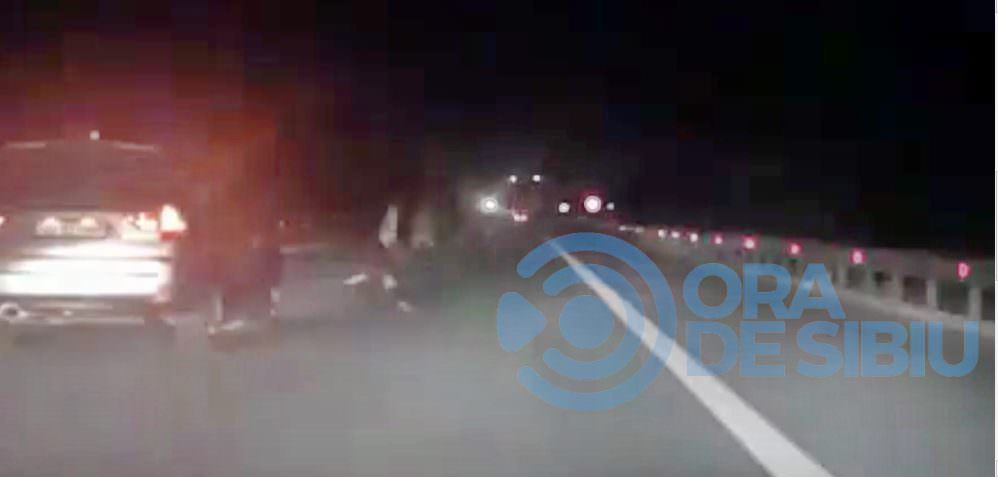 VIDEO: Doi șoferi au prevenit un accident cu un cal care galopa pe autostrada Sibiu - Sebeș