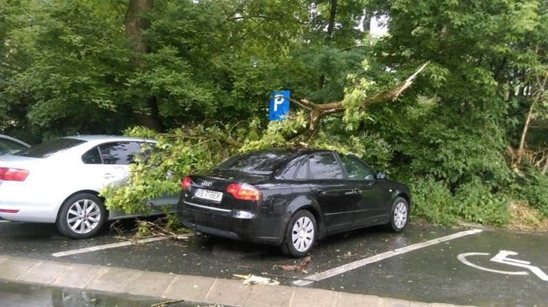 foto - mașini distruse de copaci pe strada izvorului. zeci de sesizări de inundații în oraș