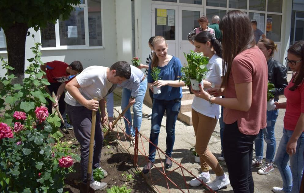 Studenţii şi elevii plantează în campania Iubim Sibiul, să-l lăsăm să respire!