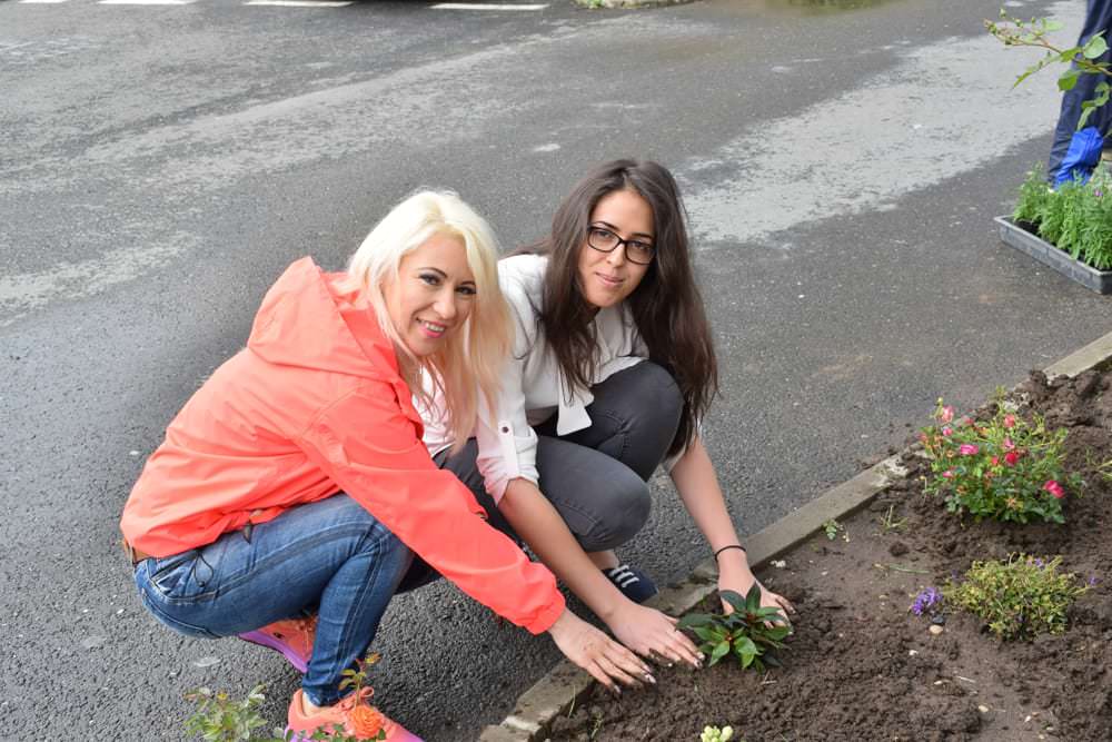 Studenţii şi elevii plantează în campania Iubim Sibiul, să-l lăsăm să respire!