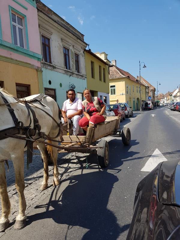 FOTO - Cu căruța la plimbare prin centrul istoric al Sibiului. Și pe interzis!