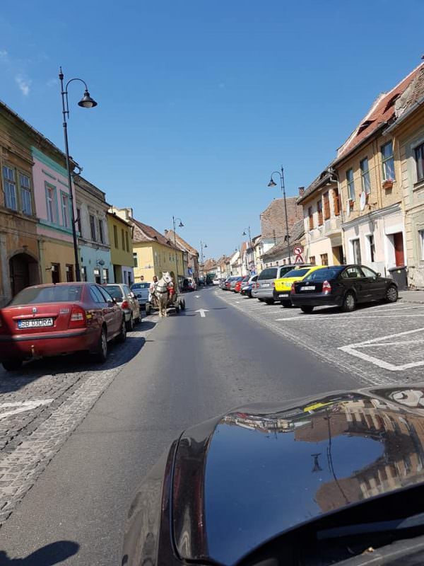 FOTO - Cu căruța la plimbare prin centrul istoric al Sibiului. Și pe interzis!