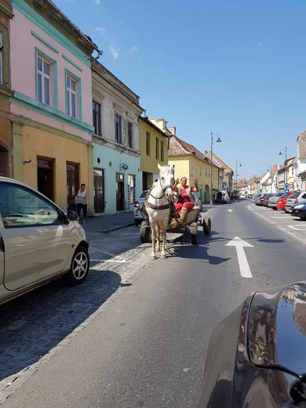 FOTO - Cu căruța la plimbare prin centrul istoric al Sibiului. Și pe interzis!