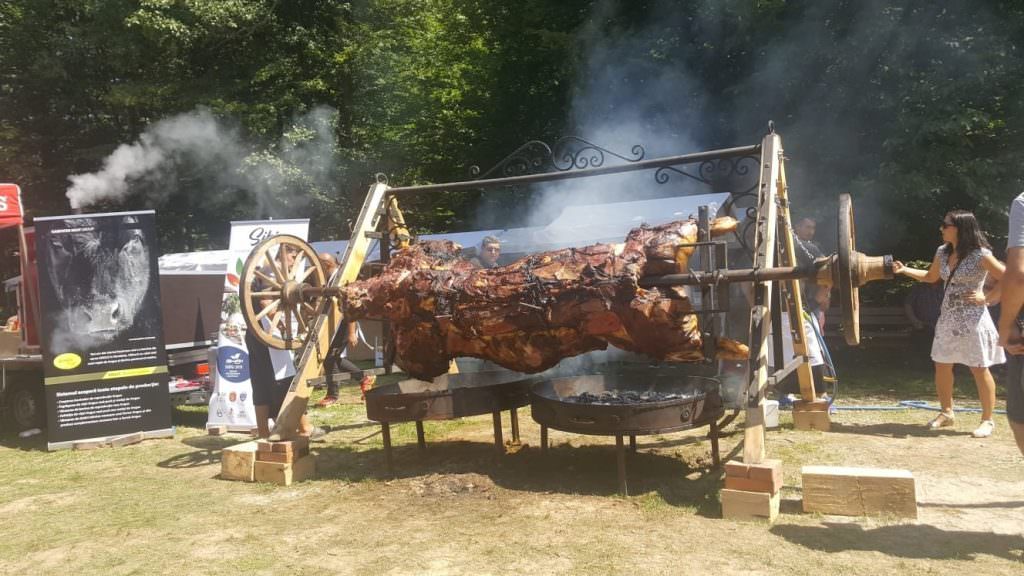 VIDEO FOTO Taur de aproape 1.700 de kilograme gătit la proțap în Muzeul în Aer Liber de la Sibiu