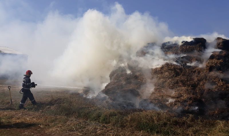 foto incendiu la avrig. arde fânul de pe câmp