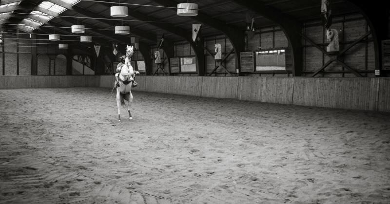 cum a fost la prima ediție dracula horse festival