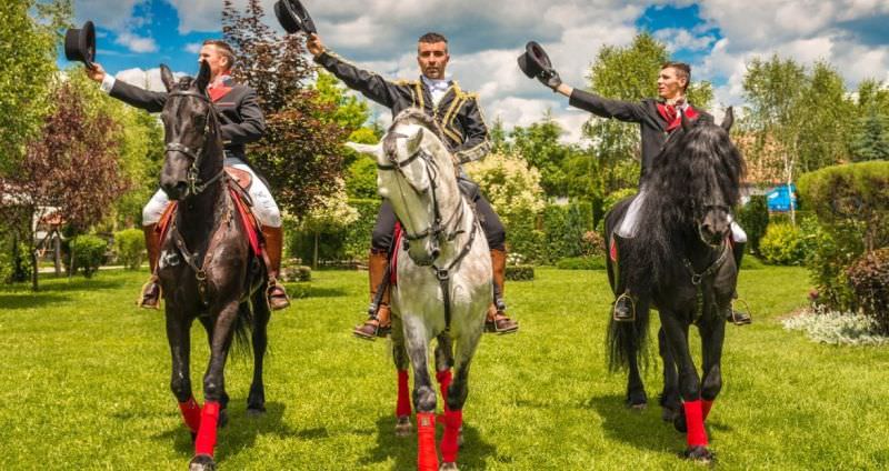 dracula horse festival - două zile de spectacole ecvestre, concerte și surprize