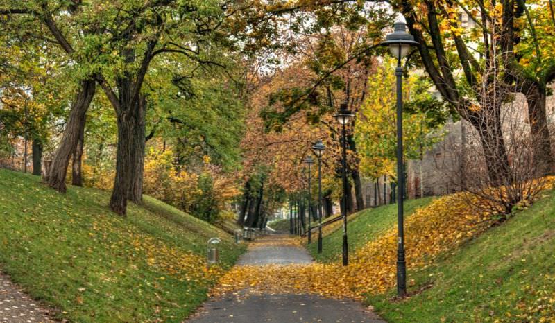 modernizări în parcul cetății - primăria bagă banii