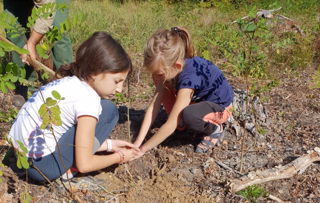 FOTO – Acțiune de plantare copaci în nordul județului Sibiu