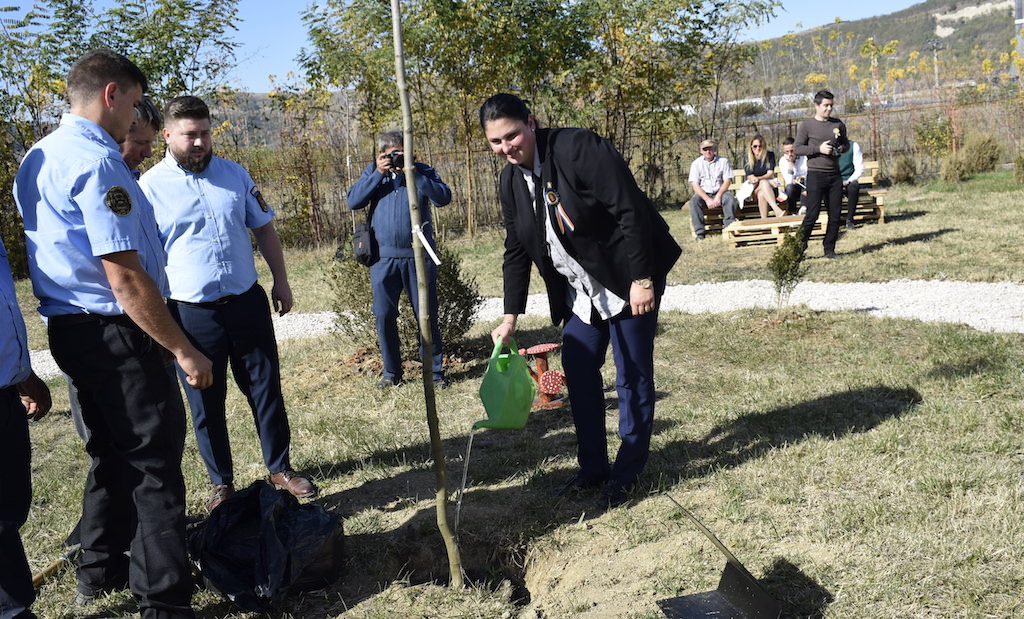 FOTO Prefectul Sibiului a sădit un stejar la Copșa Mică