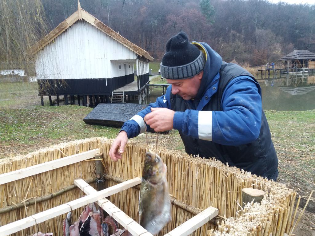 pescarii din delta dunării gătesc pește la muzeul în aer liber din sibiu