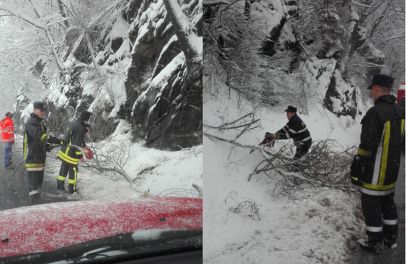 trafic blocat în două locuri pe valea oltului. au căzut copaci pe carosabil